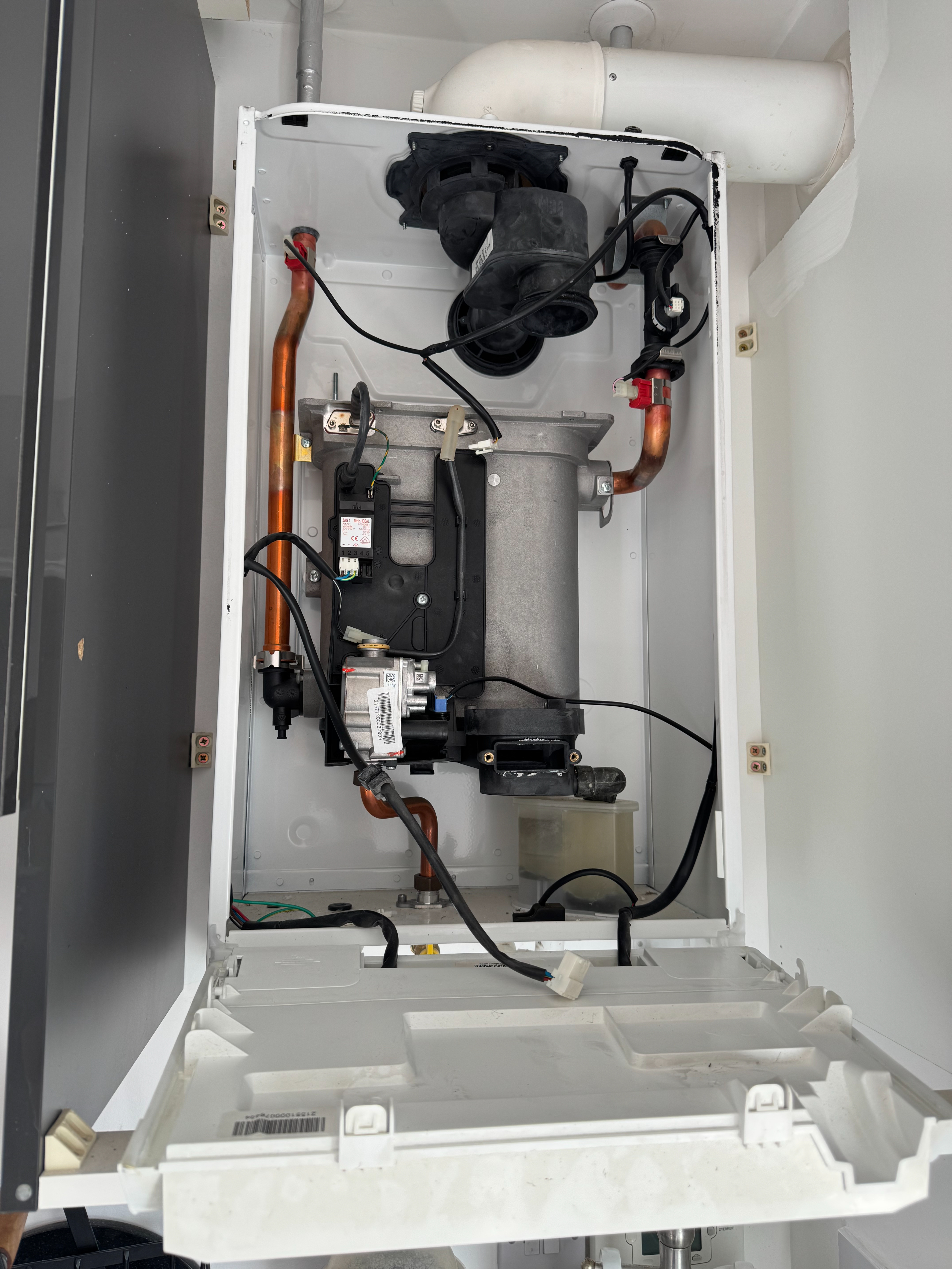 Recent job 1